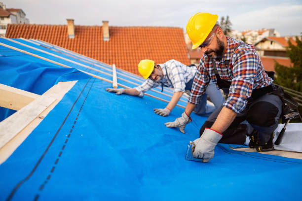 Best Rubber Roofing (EPDM, TPO)  in Roselle, NJ