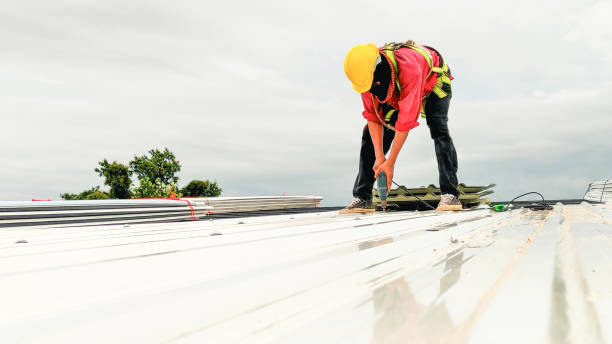 Best Roof Leak Repair  in Roselle, NJ