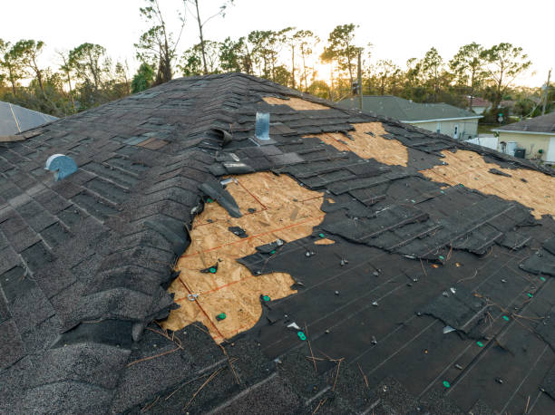 Best Roof Maintenance and Cleaning  in Roselle, NJ