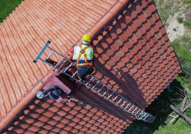 Best Roof Ventilation Installation  in Roselle, NJ